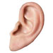 ear75x75